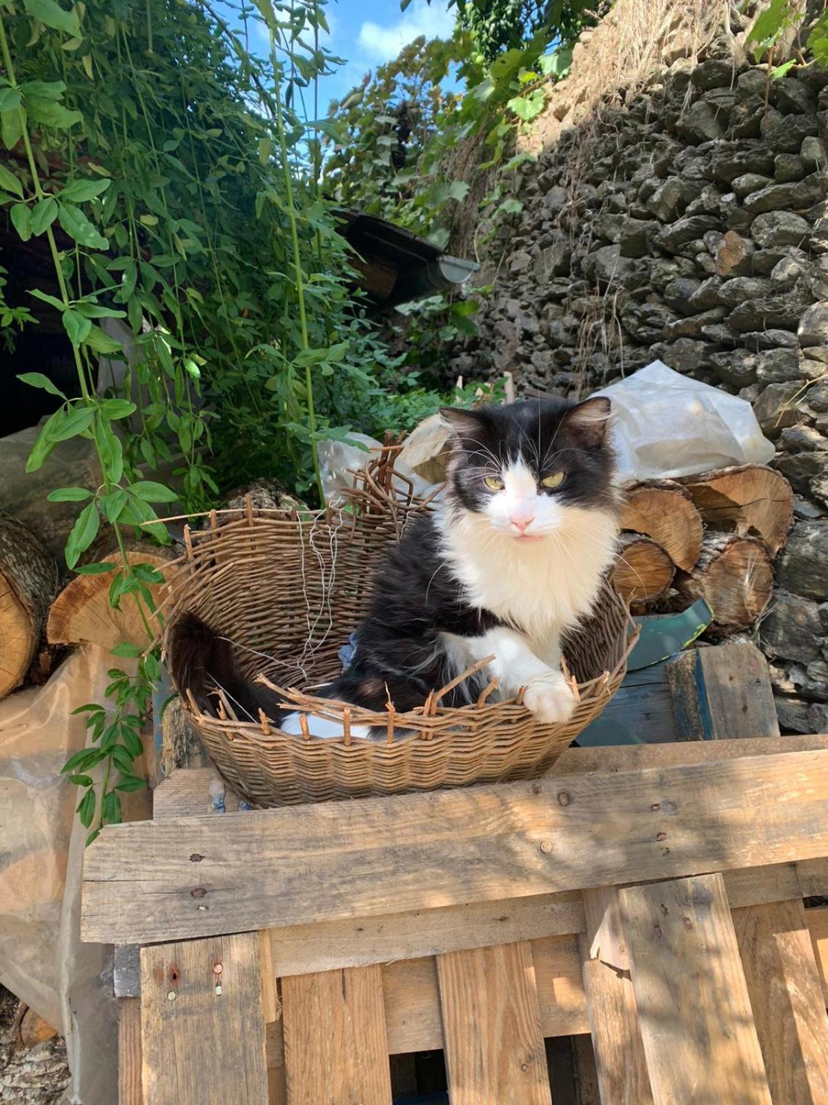 Casa Manadero Daire Robledillo De Gata Oda fotoğraf
